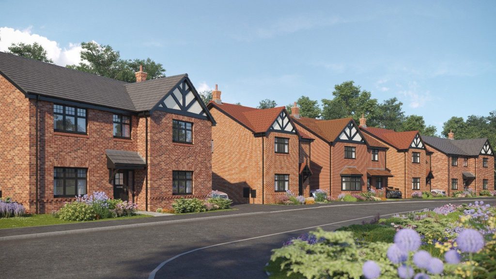 The Doves development image