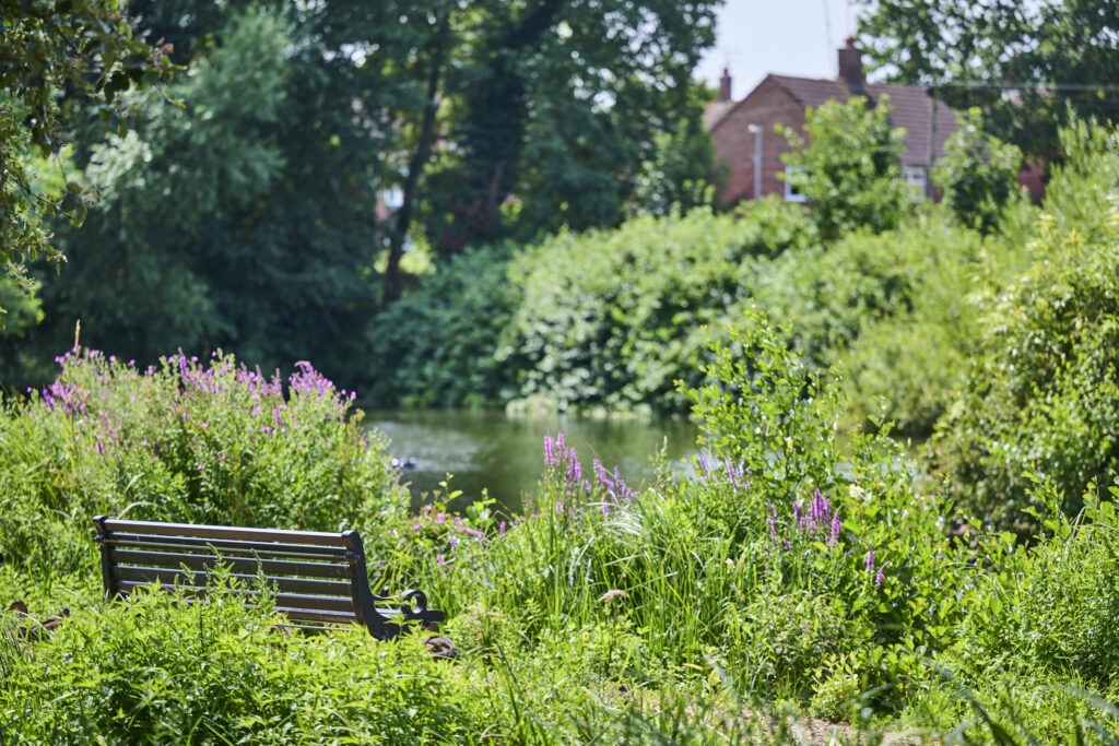 Madeley pool with bench on a sunny summer day